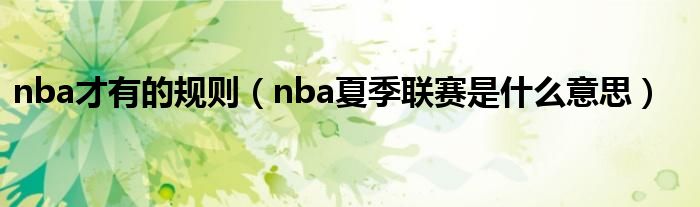 nba才有的规则（nba夏季联赛是什么意思）